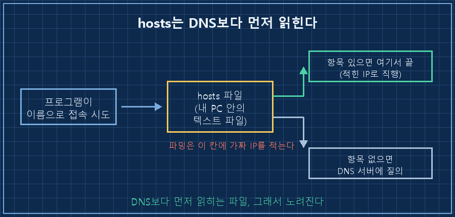 hosts 파일이 끼어드는 위치 — 왼쪽 상자 '프로그램이 이름으로 접속 시도'에서 화살표가 가운데 상자 'hosts 파일(내 PC 안의 텍스트 파일)'로 들어감. 가운데 상자에서 화살표 두 갈래: 위쪽 '항목이 있으면 → 여기서 끝(적힌 IP로 직행)', 아래쪽 '항목이 없으면 → DNS 서버에 질의'. 하단 캡션 'DNS보다 먼저 읽히는 파일, 그래서 노려진다'