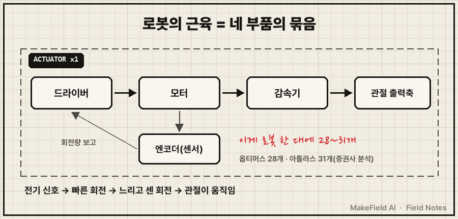 왼쪽에서 오른쪽으로 '드라이버' → '모터' → '감속기' → '관절 출력축' 잉크 박스 4개를 화살표로 연결. 모터 아래에 '엔코더' 박스가 위쪽 드라이버로 되돌아가는 잉크 화살표(측정값 전달). 네 박스를 감싸는 큰 점선 테두리에 '액추에이터 1개'. 오른쪽 빨간 손글씨 '이게 로봇 한 대에 28~31개'. 하단 캡션 '로봇의 근육 = 네 부품의 묶음'